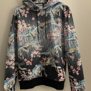 Dior x Sorayama oblique T-Rex hoodie